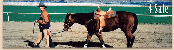 Cossentine Saddlery - 4 Sale