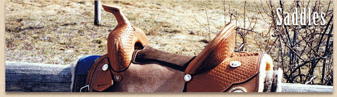 Cossentine Saddlery - Saddles - Show