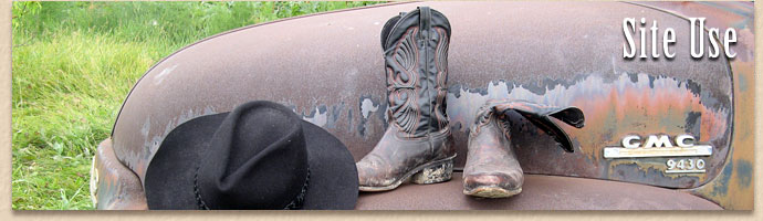 Cossentine Saddlery - Site Use