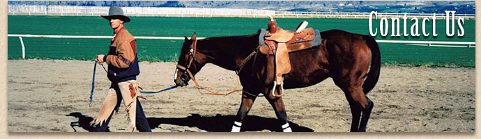 Cossentine Saddlery - Contact Us
